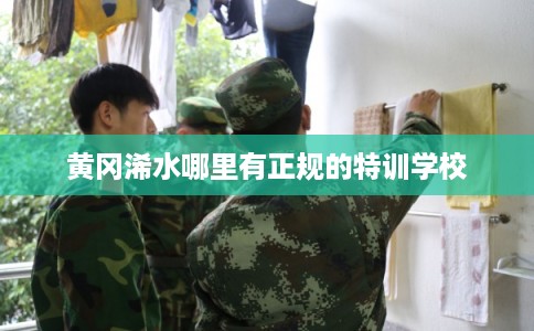 黄冈浠水哪里有正规的特训学校