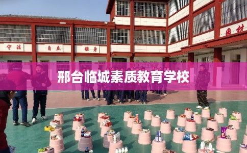 邢台临城素质教育学校