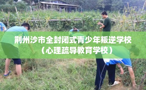 荆州沙市全封闭式青少年叛逆学校（心理疏导教育学校）