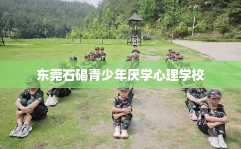 东莞石碣青少年厌学心理学校