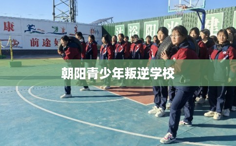 朝阳青少年叛逆学校