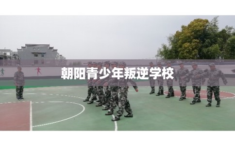 朝阳青少年叛逆学校