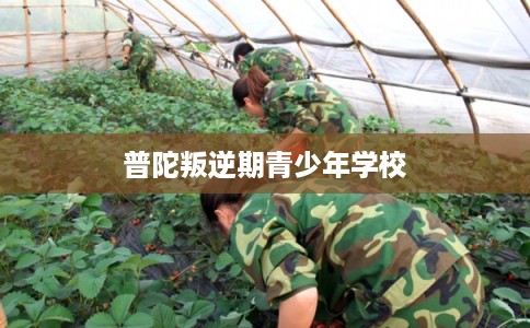 普陀叛逆期青少年学校