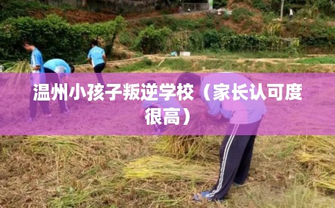 温州小孩子叛逆学校（家长认可度很高）
