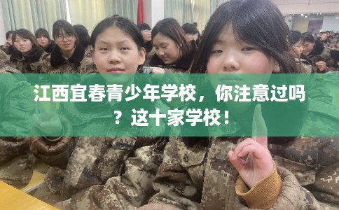 江西宜春青少年学校，你注意过吗？这十家学校！