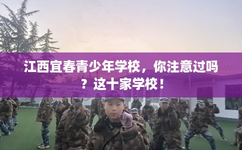 江西宜春青少年学校，你注意过吗？这十家学校！