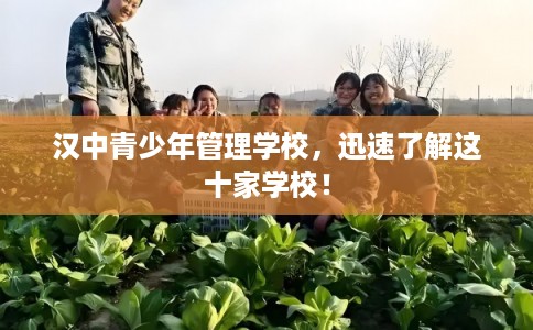 汉中青少年管理学校，迅速了解这十家学校！