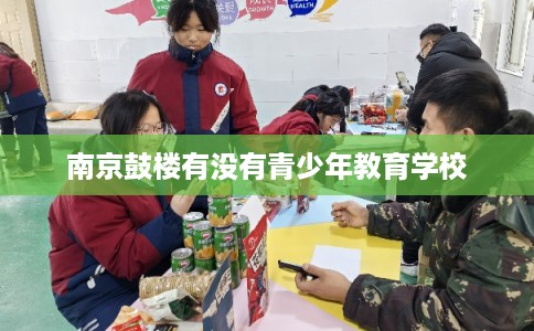 南京鼓楼有没有青少年教育学校