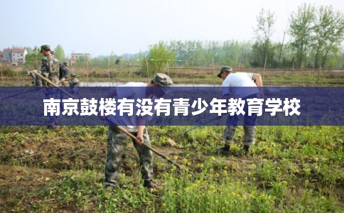 南京鼓楼有没有青少年教育学校