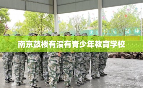南京鼓楼有没有青少年教育学校