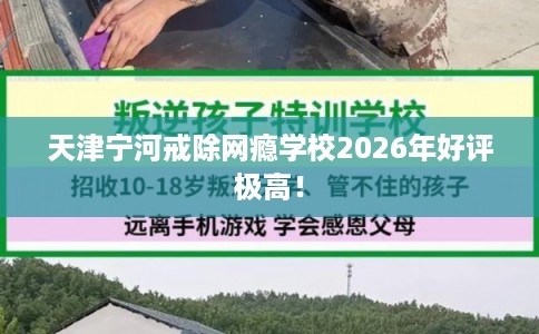 天津宁河戒除网瘾学校2026年好评极高！