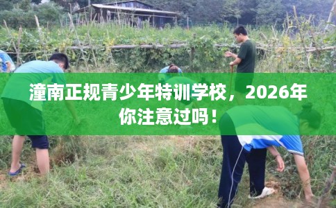 潼南正规青少年特训学校，2026年你注意过吗！