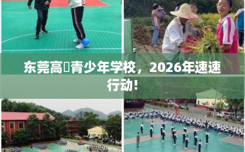 东莞高埗青少年学校，2026年速速行动!