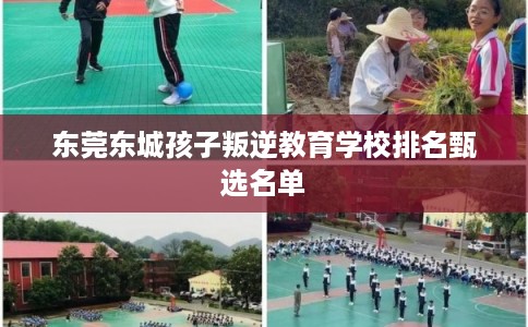 东莞东城孩子叛逆教育学校排名甄选名单