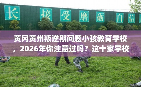 黄冈黄州叛逆期问题小孩教育学校，2026年你注意过吗？这十家学校！