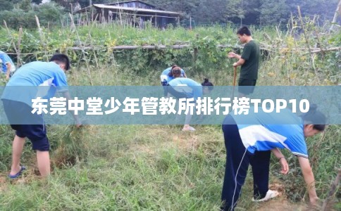东莞中堂少年管教所排行榜TOP10