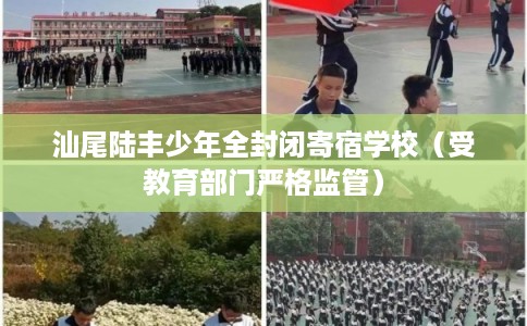 汕尾陆丰少年全封闭寄宿学校（受教育部门严格监管）