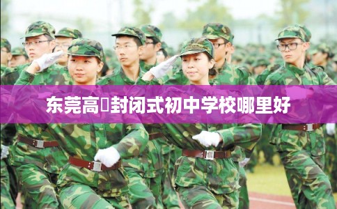 东莞高埗封闭式初中学校哪里好