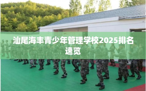 汕尾海丰青少年管理学校2025排名速览