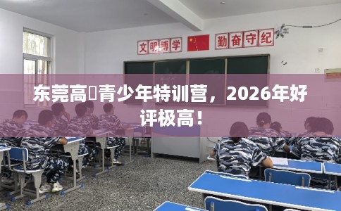 东莞高埗青少年特训营，2026年好评极高！
