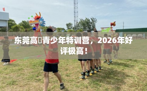 东莞高埗青少年特训营，2026年好评极高！