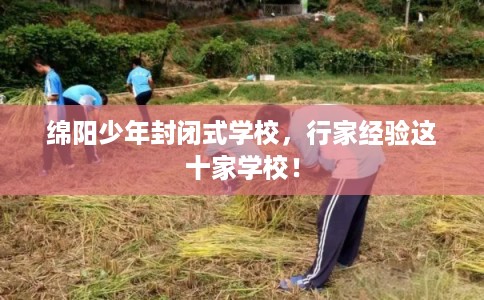 绵阳少年封闭式学校，行家经验这十家学校！