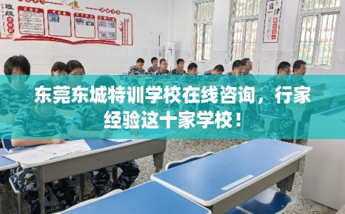 东莞东城特训学校在线咨询，行家经验这十家学校！