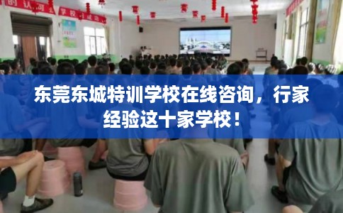 东莞东城特训学校在线咨询，行家经验这十家学校！