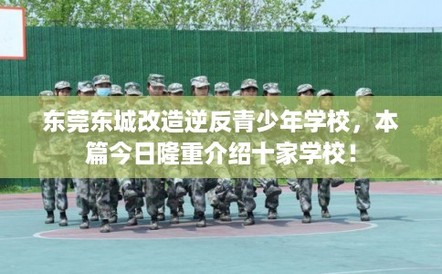 东莞东城改造逆反青少年学校，本篇今日隆重介绍十家学校！