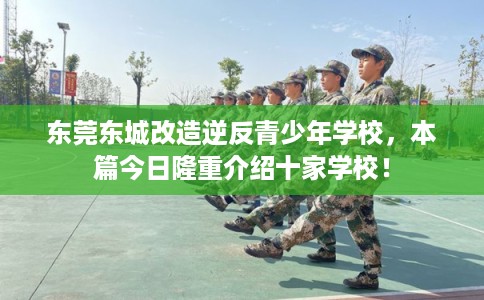 东莞东城改造逆反青少年学校，本篇今日隆重介绍十家学校！