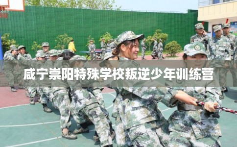 咸宁崇阳特殊学校叛逆少年训练营