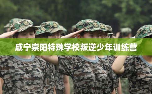 咸宁崇阳特殊学校叛逆少年训练营