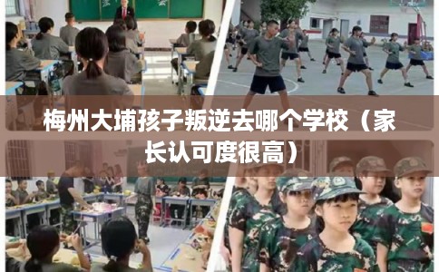 梅州大埔孩子叛逆去哪个学校（家长认可度很高）