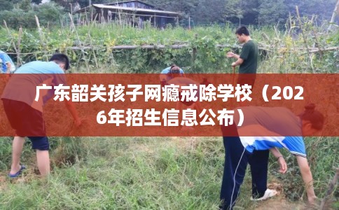 广东韶关孩子网瘾戒除学校（2026年招生信息公布）