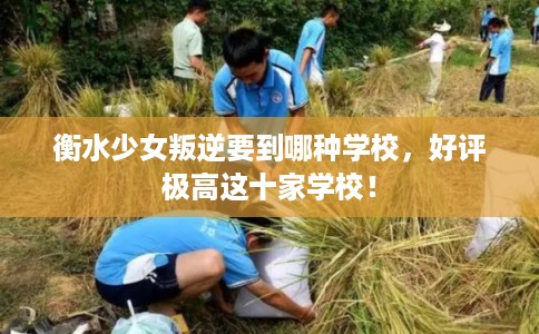 衡水少女叛逆要到哪种学校，好评极高这十家学校！