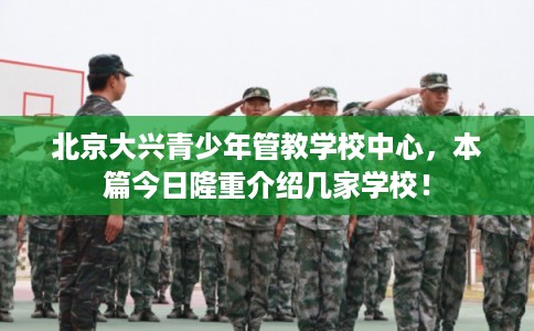 北京大兴青少年管教学校中心，本篇今日隆重介绍几家学校！
