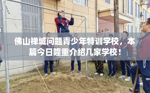 佛山禅城问题青少年特训学校，本篇今日隆重介绍几家学校！
