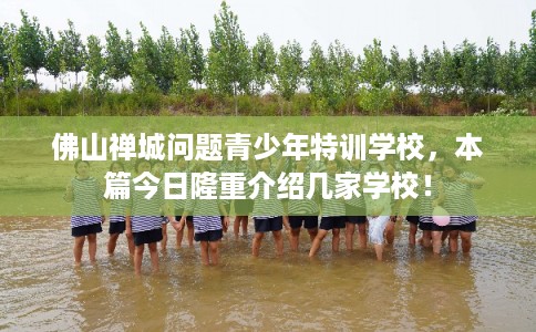 佛山禅城问题青少年特训学校，本篇今日隆重介绍几家学校！