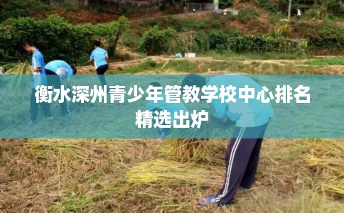 衡水深州青少年管教学校中心排名精选出炉