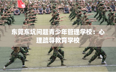 东莞东坑问题青少年管理学校：心理疏导教育学校