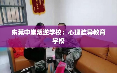 东莞中堂叛逆学校：心理疏导教育学校