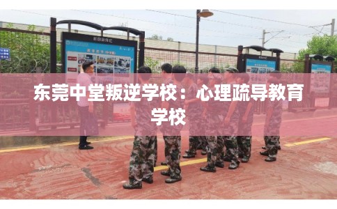 东莞中堂叛逆学校：心理疏导教育学校