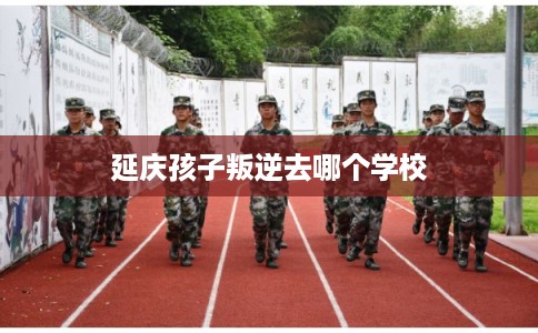 延庆孩子叛逆去哪个学校