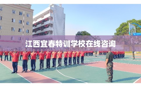 江西宜春特训学校在线咨询