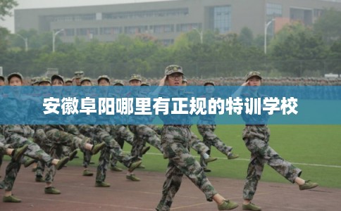 安徽阜阳哪里有正规的特训学校