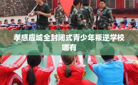 孝感应城全封闭式青少年叛逆学校哪有