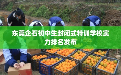 东莞企石初中生封闭式特训学校实力排名发布