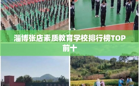 淄博张店素质教育学校排行榜TOP前十