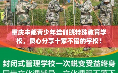 重庆丰都青少年培训班特殊教育学校，良心分享十家不错的学校！