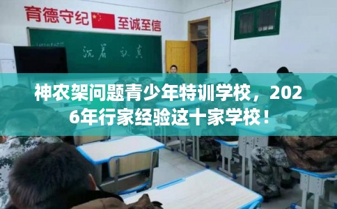 神农架问题青少年特训学校，2026年行家经验这十家学校！